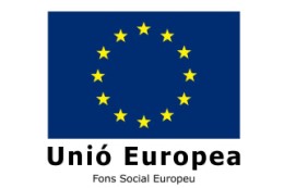 Fons Social Europeu